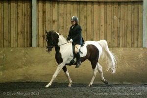 Isis Dressage Crown Farm Show 29th April 2012